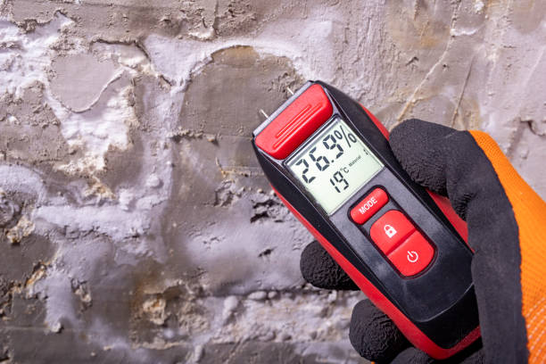 Best Mold Remediation Experts  in Baltimore Highlands, MD